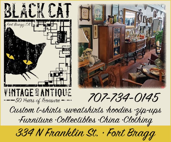 Black Cat Vintage & Antique