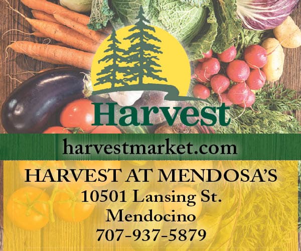 Harvest Market at Mendosa's