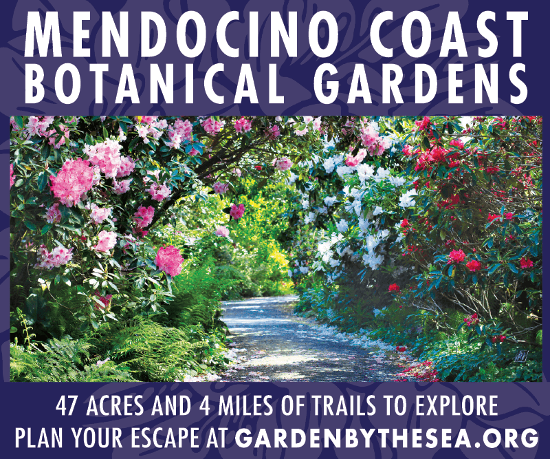 Mendocino Coast Botanical Gardens