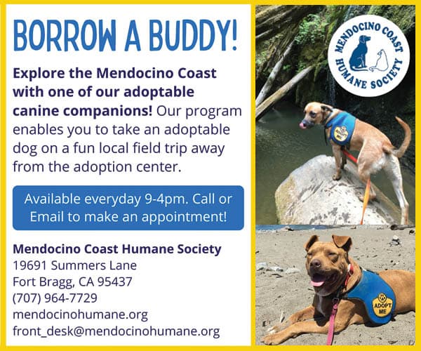 Mendocino Coast Humane Society