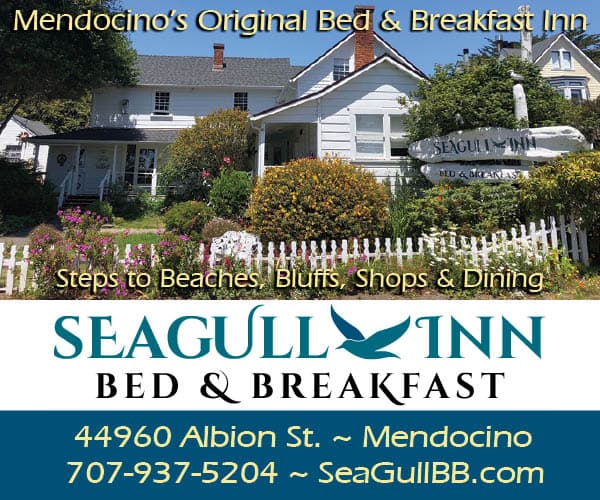 Seagull Inn