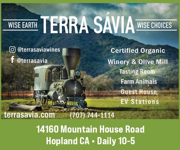 Terra Savia