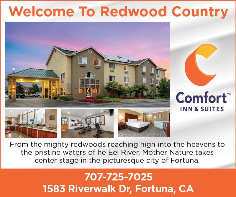 Comfort Inn & Suites - Fortuna