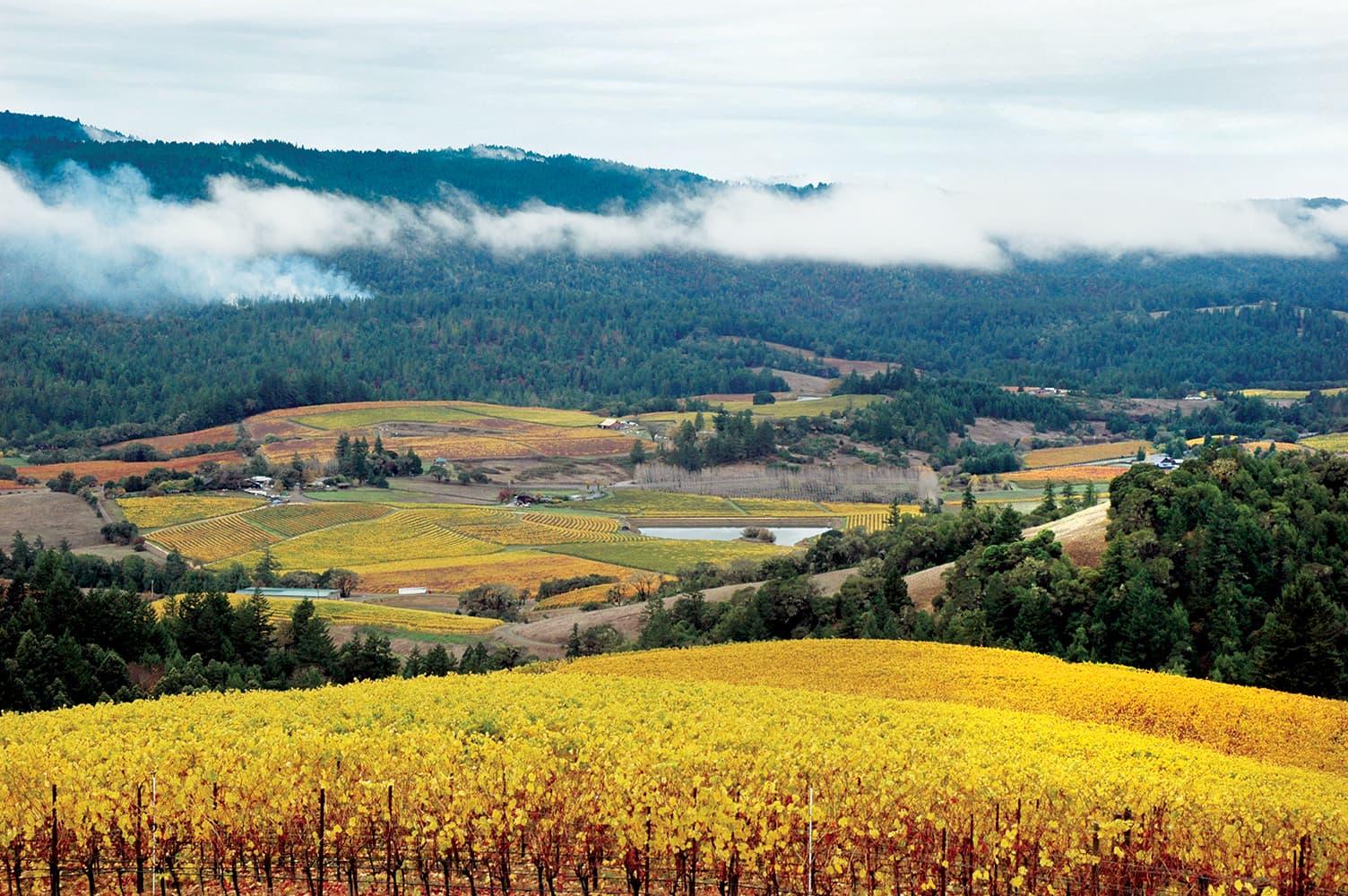 Anderson Valley