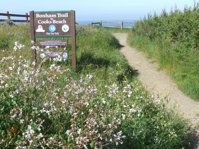 Bonham Trail to Cooks Beach