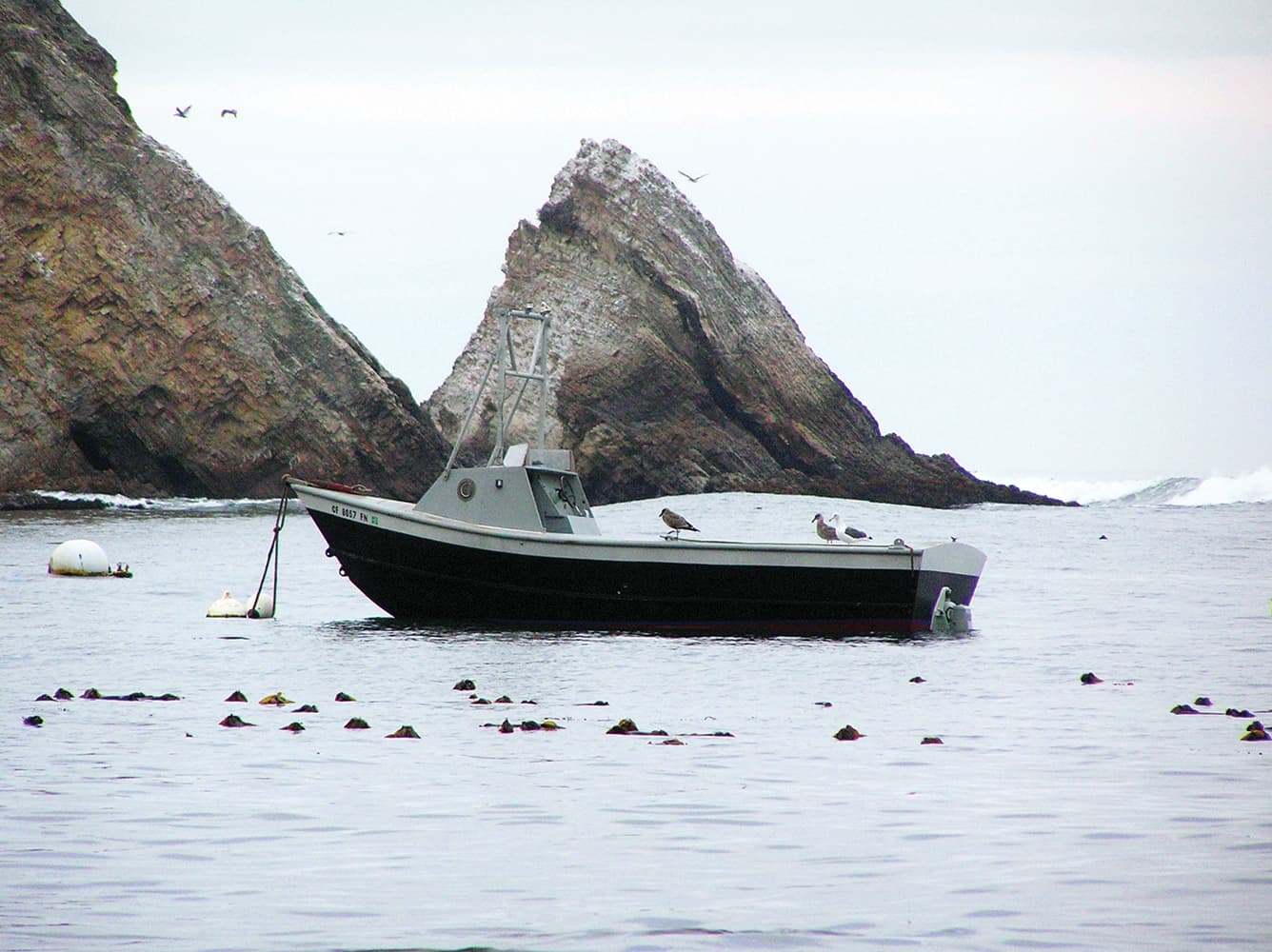 Point Arena Pier at Arena Cove