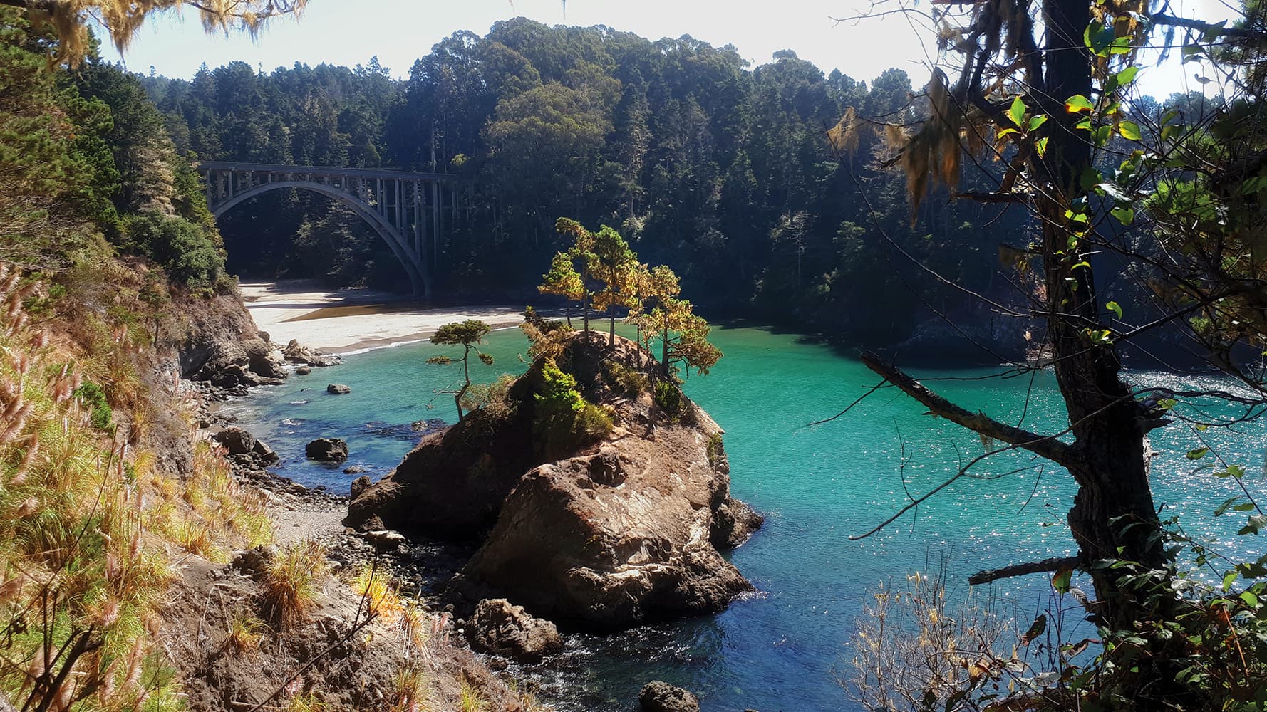 Russian Gulch State Park