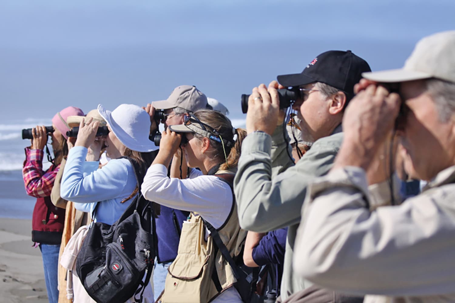 Bird-Watching with the Audubon Society