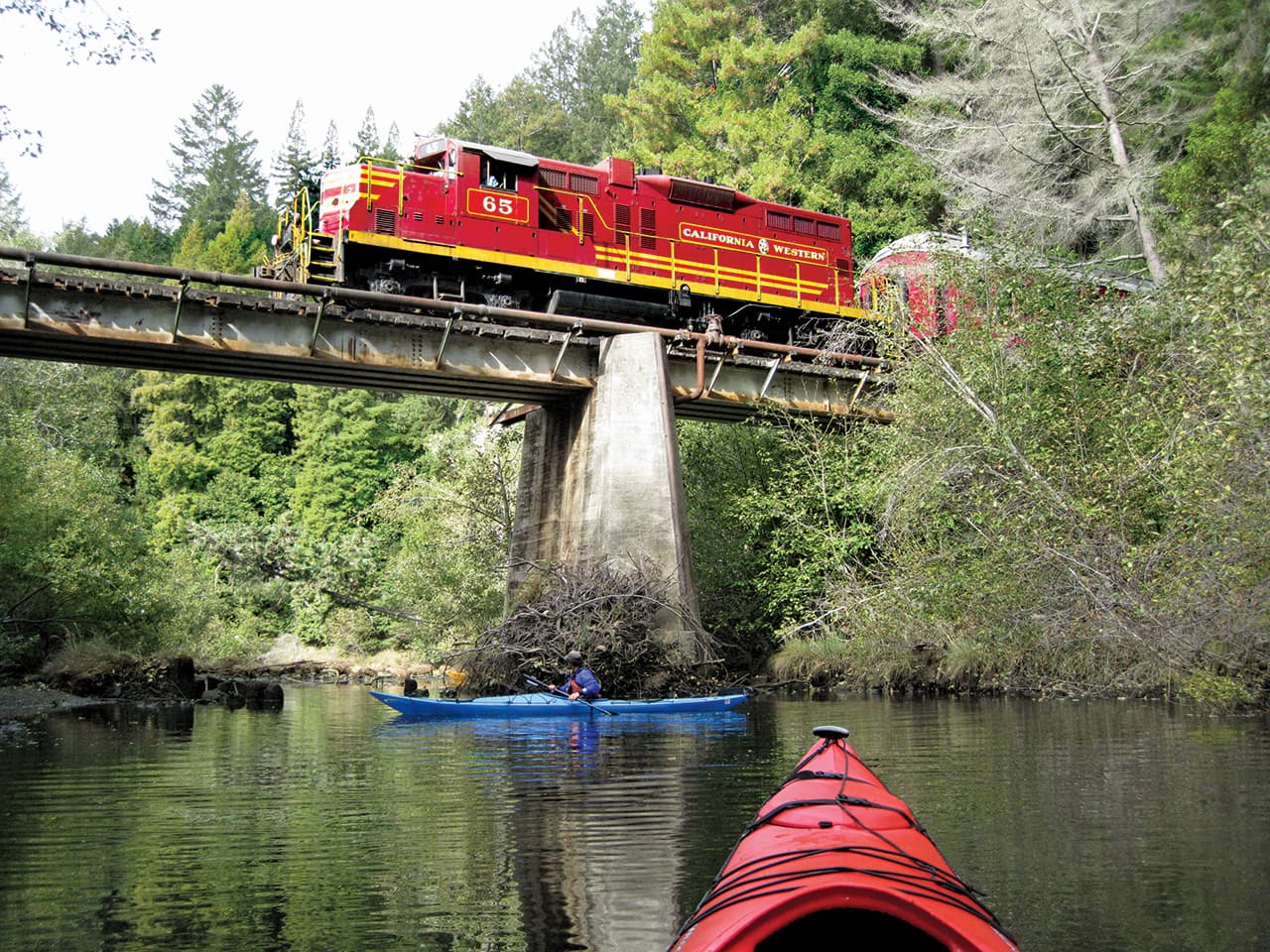 Historic Skunk Train