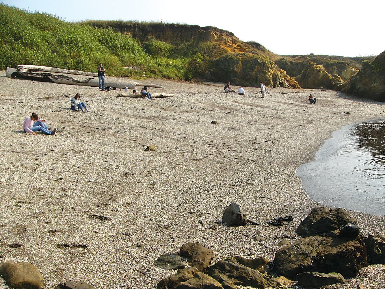 Glass Beach Treasures