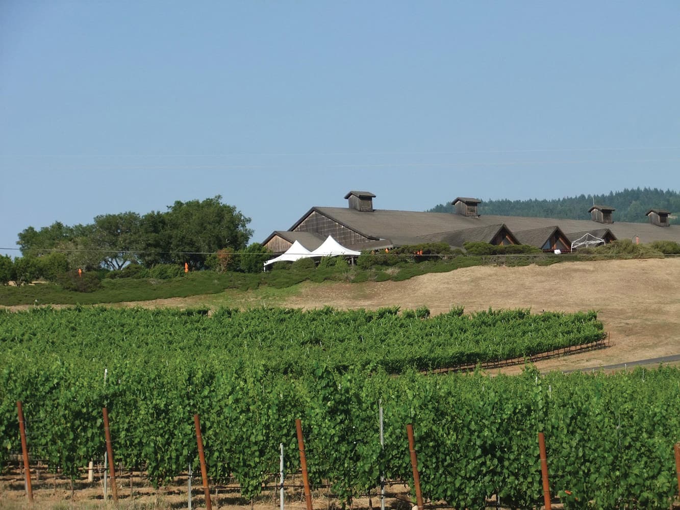 Anderson Valley Wineries