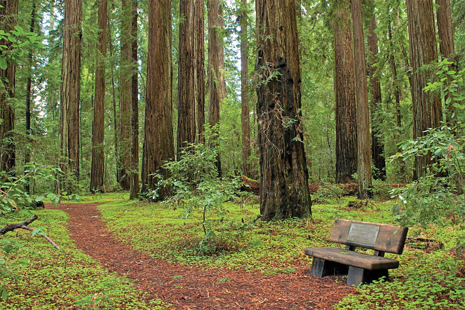 Hendy Woods State Park