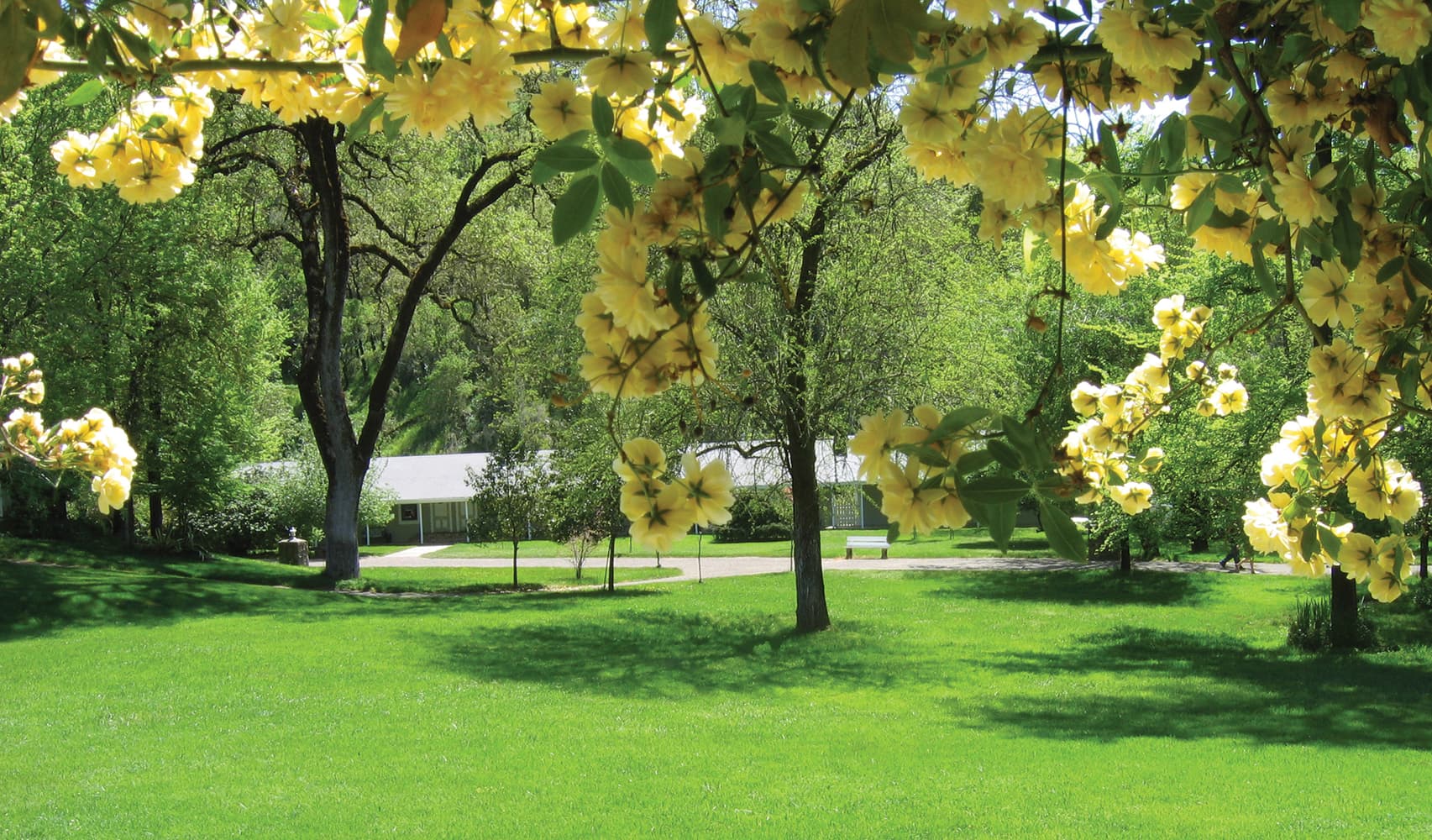 Vichy Springs Mineral Hot Springs Resort