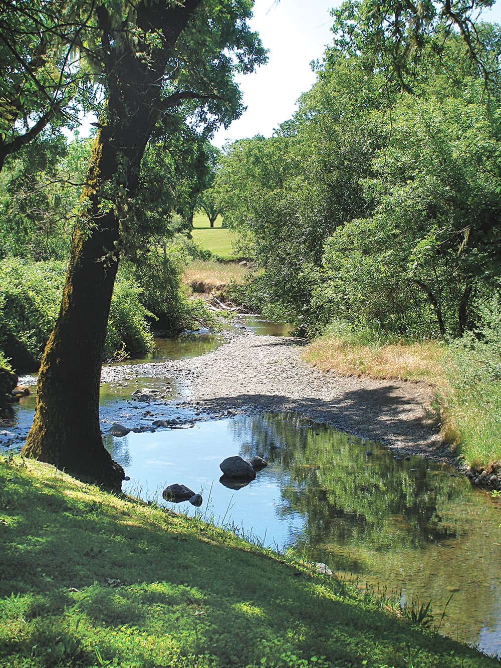 Low Gap Regional Park