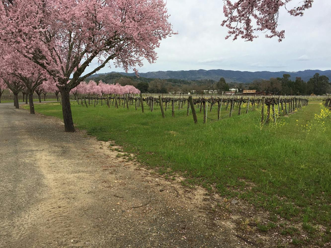 Ukiah Valley Conference & Visitor Center