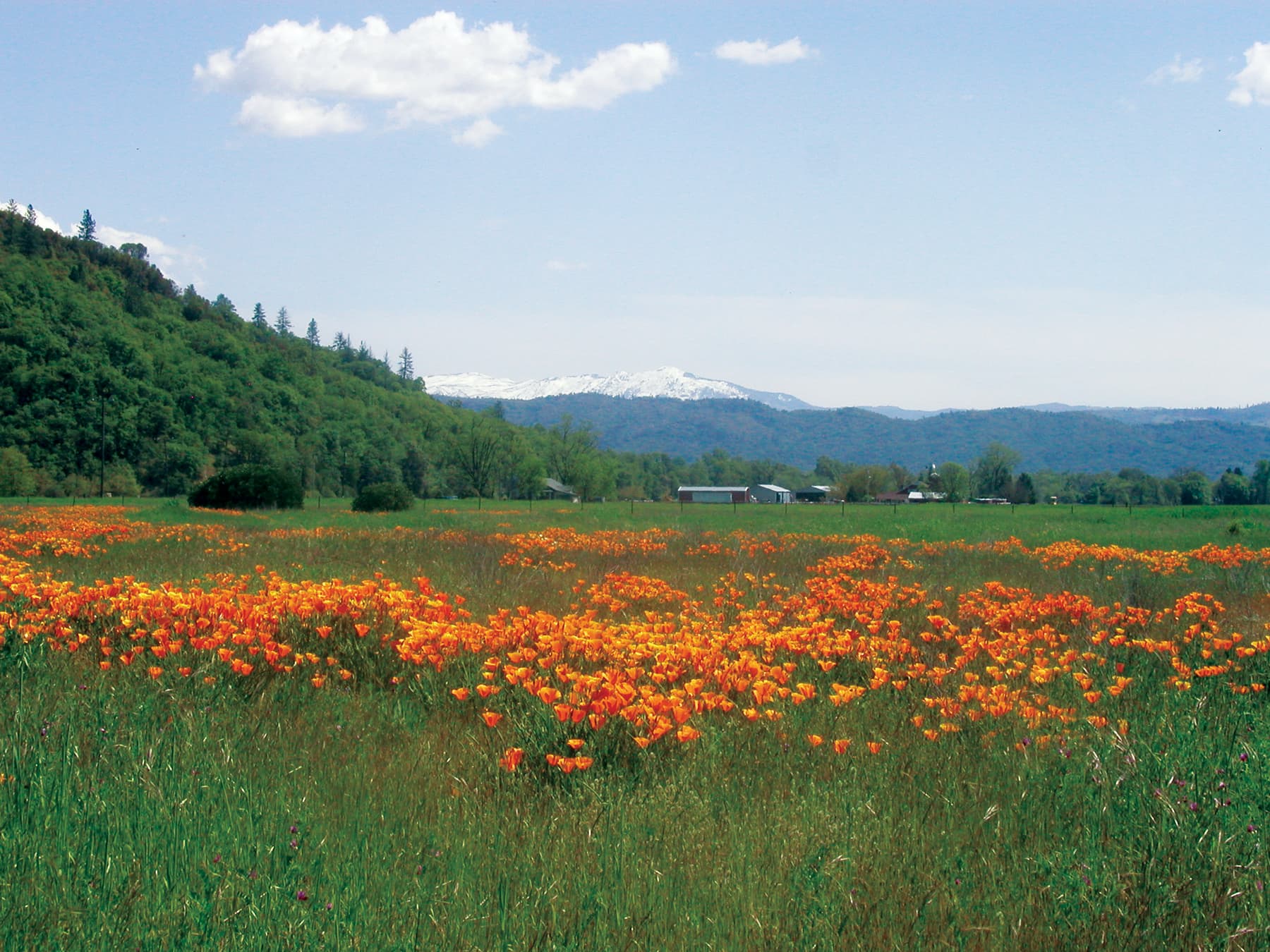 Scenic Drive to Covelo