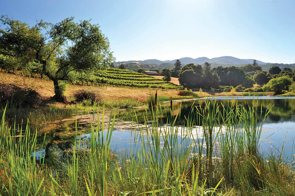 Ukiah Valley Wineries