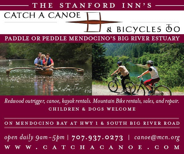 Catch a Canoe & Bicycles Too