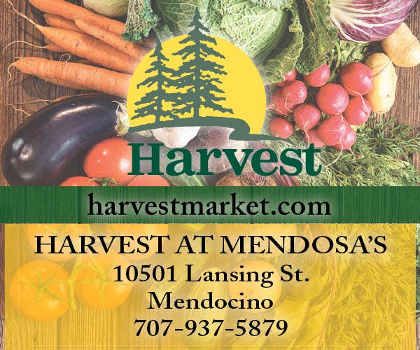 Harvest Market at Mendosa's