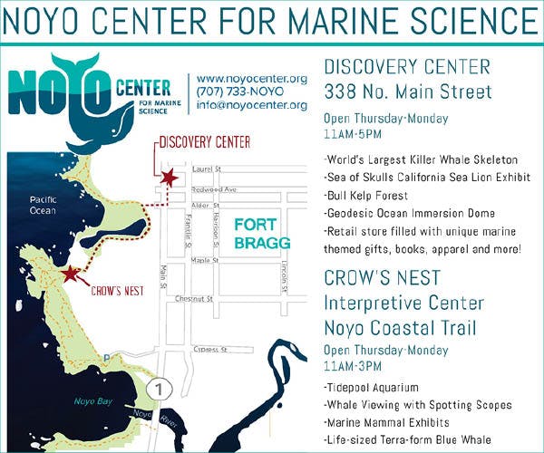 Noyo Center for Marine Science