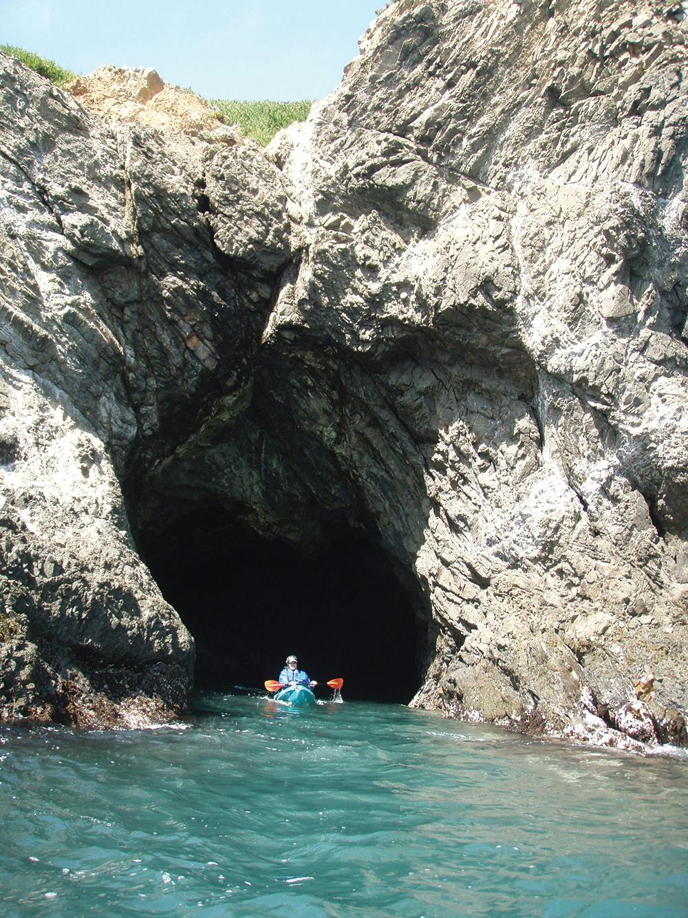 Kayak Mendocino Sea Cave Nature Tours